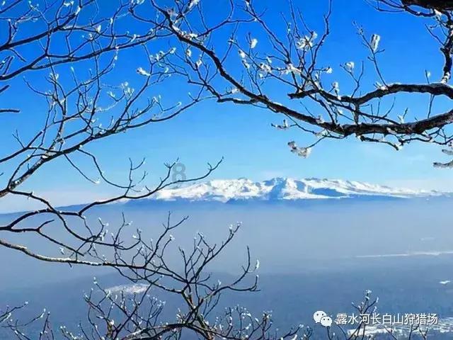 拯救巧虎3