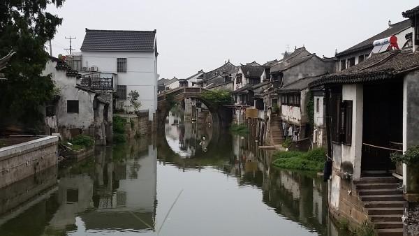 找不到合适的对象，被家里催婚，我该怎么办？游戏画面