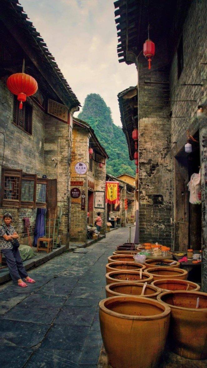 拉布拉多如何训练