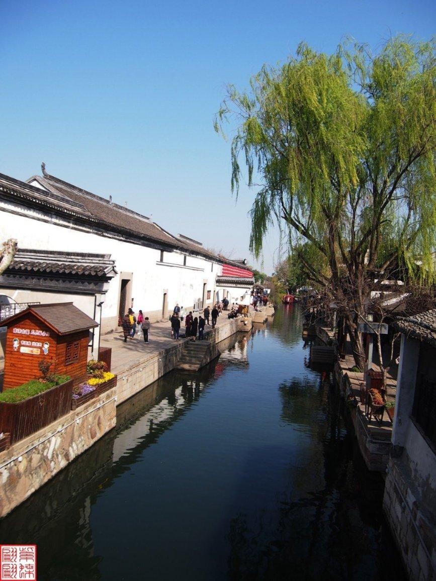 奔跑的兔子