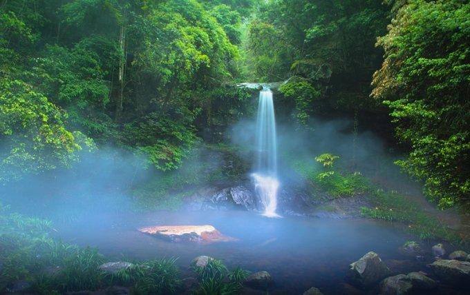 山西7旬老人进山采药,悬崖下获得“鬼见愁”,做成拐杖2万不卖